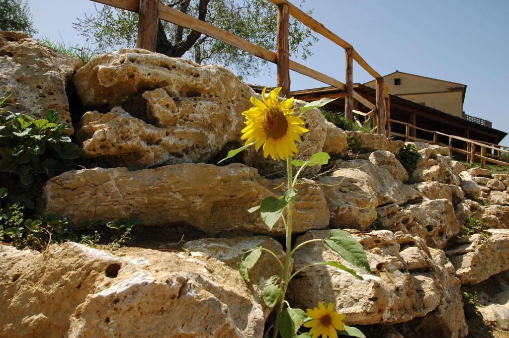 Agriturismo Campo Antico Guest House Orte Exterior photo