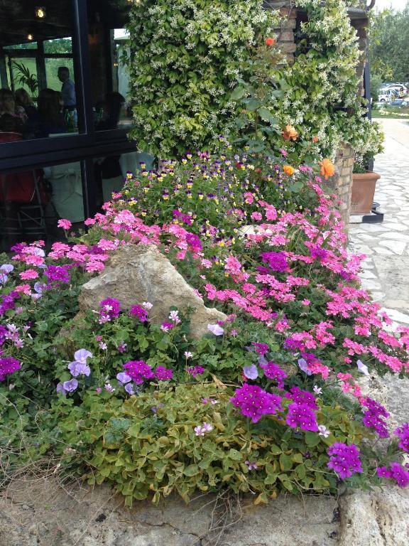 Agriturismo Campo Antico Guest House Orte Exterior photo